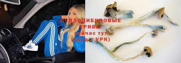 винт Белокуриха