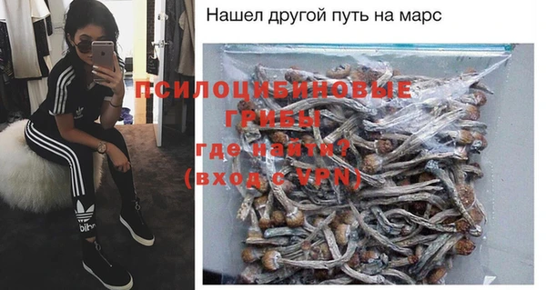 дживик Беломорск
