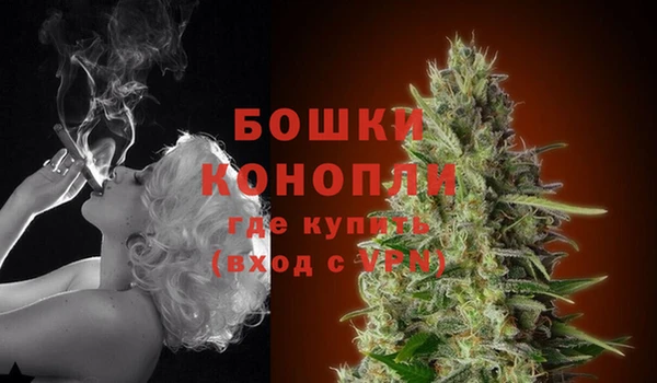 винт Белокуриха