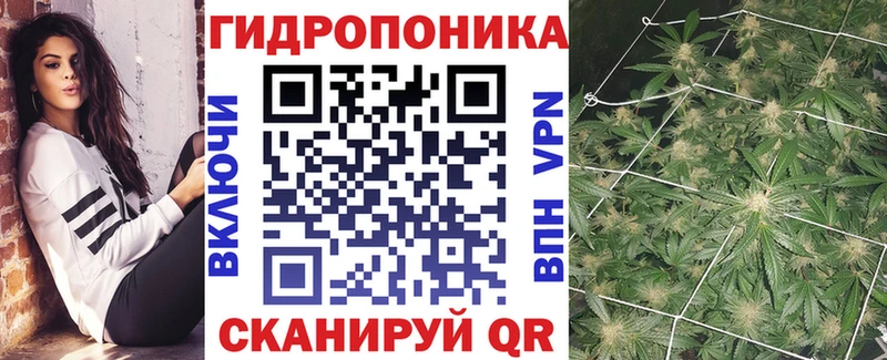 KRAKEN ссылки  Буйнакск  Конопля Bruce Banner 